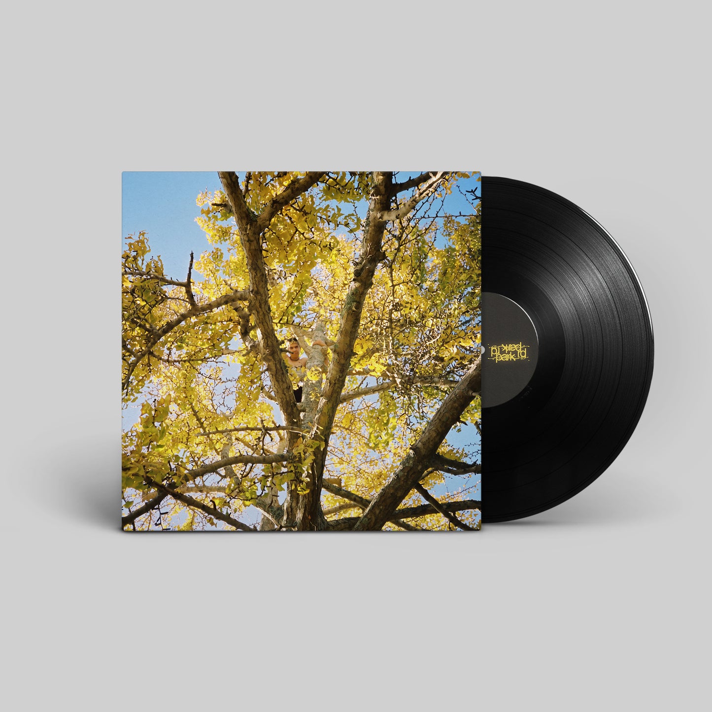PARK RD - Boyhood Vinyl